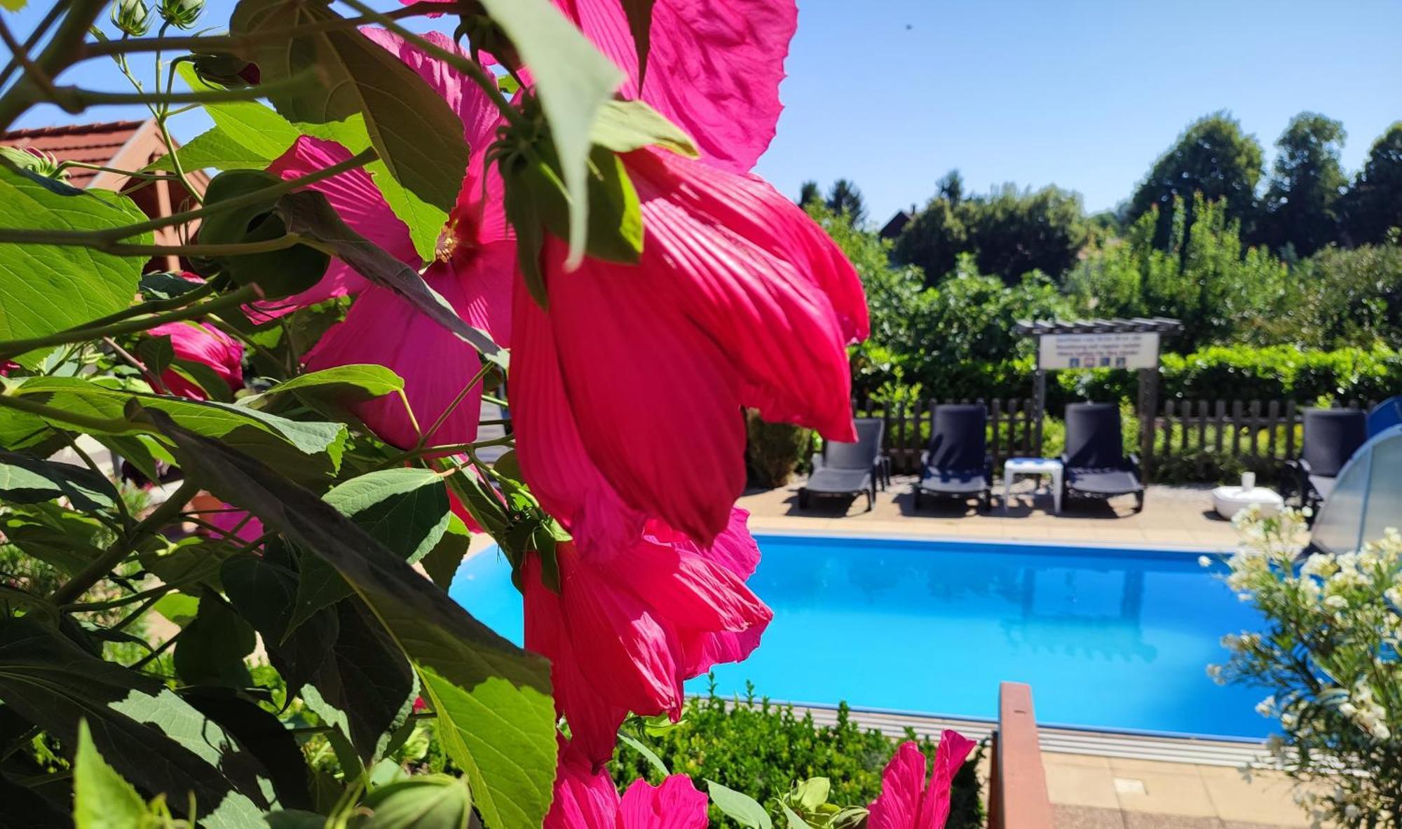 Hotel Haus Marika Siófok Esterno foto